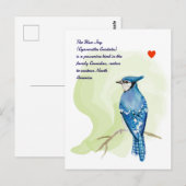 Blaue Jay-Aquarellmalerei Postkarte (Vorne/Hinten)