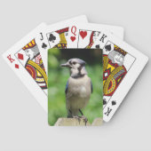 Blaue Jay auf den Spielkarten von Fence Bird Lover (Rückseite)