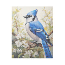Blaue Jay auf einem Zweig mit Blüten