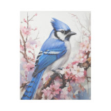 Blaue Jay auf einem Zweig mit Kirschblüten