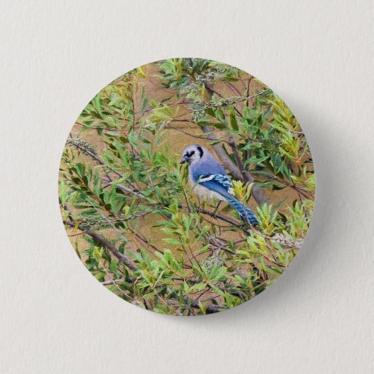 Blaue Jay auf Myrtle aus Südwax Button (Vorderseite)