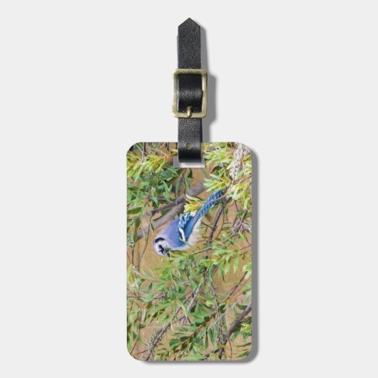 Blaue Jay auf Myrtle aus Südwax Gepäckanhänger (Vorderseite vertikal)