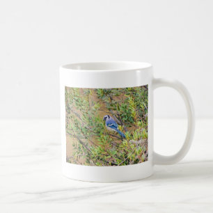 Blaue Jay auf Myrtle aus Südwax Kaffeetasse