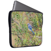 Blaue Jay auf Myrtle aus Südwax Laptopschutzhülle (Vorne Rechts)