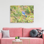 Blaue Jay auf Myrtle aus Südwax Leinwanddruck (Insitu (Wohnzimmer))