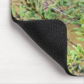 Blaue Jay auf Myrtle aus Südwax Mousepad (Ecke)