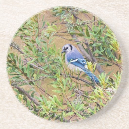 Blaue Jay auf Myrtle aus Südwax Untersetzer (Vorne)