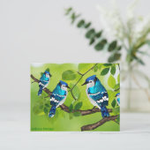 Blaue Jay auf Zweig Postkarte (Stehend Vorderseite)