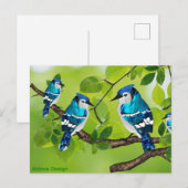 Blaue Jay auf Zweig Postkarte (Vorne/Hinten)