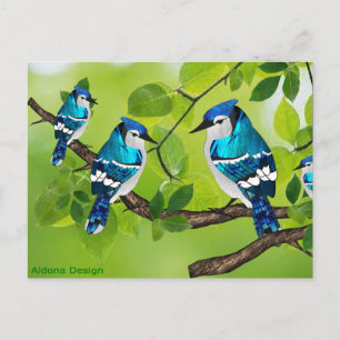 Blaue Jay auf Zweig Postkarte