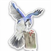 Blaue Jay Aufkleber (Vorderseite)