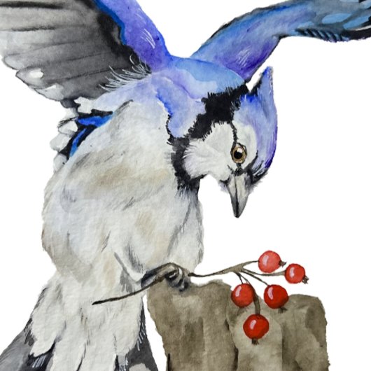 Blaue Jay Aufkleber