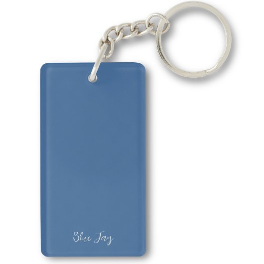 Blaue Jay Bird Painting Initials Vogelbeobachtung Schlüsselanhänger