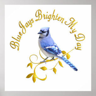 Blaue Jay Brighten Poster