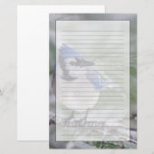Blaue Jay, Cyanocitta cristata Briefpapier (Vorne/Hinten)