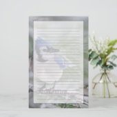 Blaue Jay, Cyanocitta cristata Briefpapier (Stehend Vorderseite)