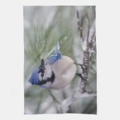 Blaue Jay, Cyanocitta cristata Geschirrtuch (Vertikal)
