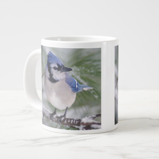 Blaue Jay, Cyanocitta cristata Jumbo-Tasse (Vorderseite Links)