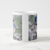 Blaue Jay, Cyanocitta cristata Jumbo-Tasse (Vorderseite)