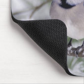 Blaue Jay, Cyanocitta cristata Mousepad (Ecke)
