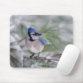 Blaue Jay, Cyanocitta cristata Mousepad (Mit Mouse)