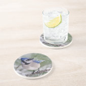 Blaue Jay, Cyanocitta cristata Sandstein Untersetzer (Seite)