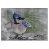 Blaue Jay, Cyanocitta cristata Schneidebrett (Vorderseite)