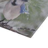 Blaue Jay, Cyanocitta cristata Schneidebrett (Ecke)