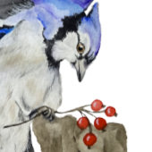 Blaue Jay Edelstahlflasche