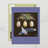 Blaue Jay-Eier mit Blaubeeren-Postkarte Postkarte (Vorne/Hinten)