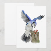 Blaue Jay Einladung (Vorne/Hinten)