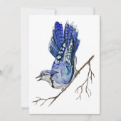 Blaue Jay Einladung (Vorderseite)