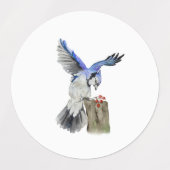 Blaue Jay Etiketten (Design 1)