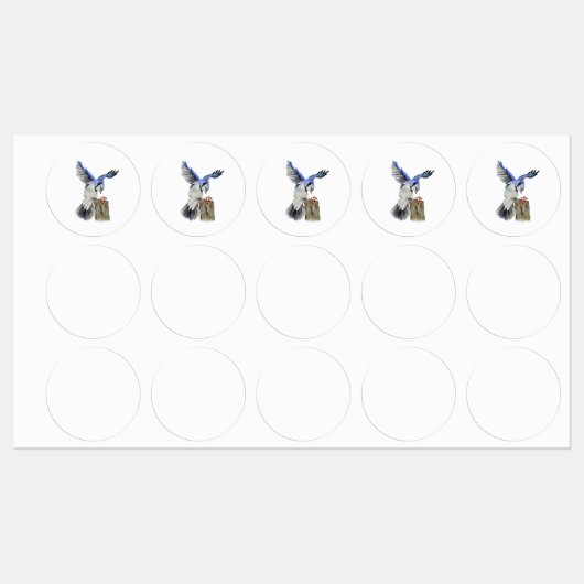 Blaue Jay Etiketten (Blatt)