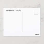 Blaue Jay Fotografie individuell anpassbar Postkarte (Rückseite)