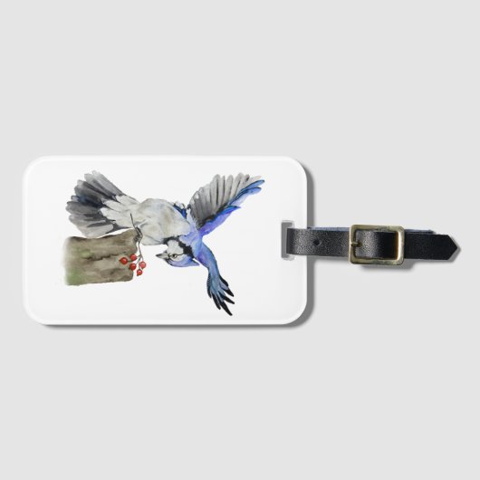 Blaue Jay Gepäckanhänger (Vorderseite (Horizontal))