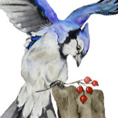 Blaue Jay Gepäckanhänger