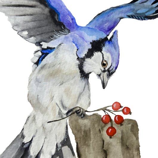 Blaue Jay Gepäckanhänger