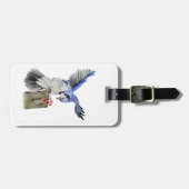 Blaue Jay Gepäckanhänger (Vorderseite horizontal)