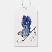Blaue Jay Geschenkanhänger (Vorderseite)