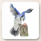 Blaue Jay Getränkeuntersetzer (Vorderseite)