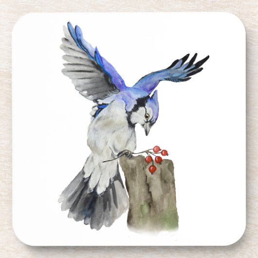 Blaue Jay Getränkeuntersetzer (Vorderseite)