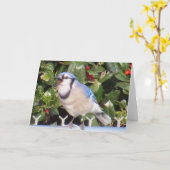 Blaue Jay-Gruß-Karte Karte (Gelbe Blume)