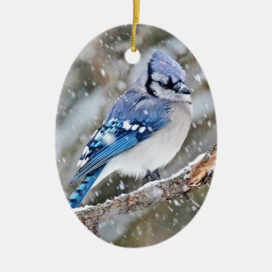 Blaue Jay im Schneesturm Keramik Ornament (Vorne)