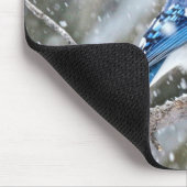 Blaue Jay im Schneesturm Mousepad (Ecke)
