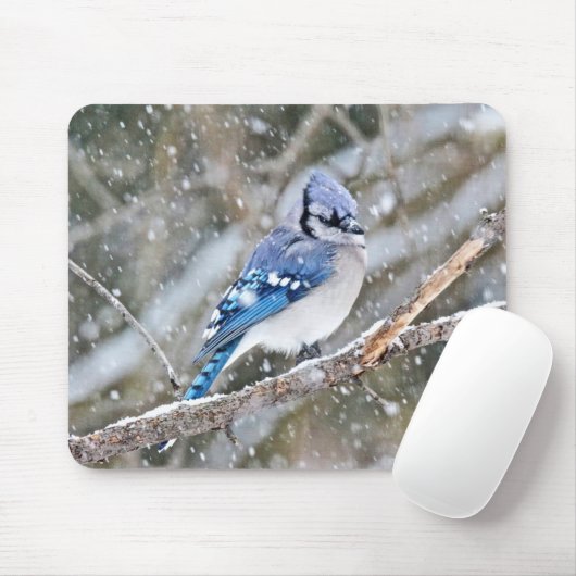 Blaue Jay im Schneesturm Mousepad (Mit Mouse)
