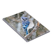 Blaue Jay im Schneesturm Notizblock (Rechte Seite)