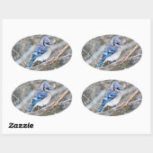 Blaue Jay im Schneesturm Ovaler Aufkleber (Blatt)