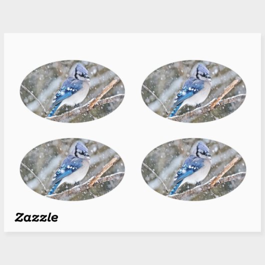 Blaue Jay im Schneesturm Ovaler Aufkleber (Blatt)