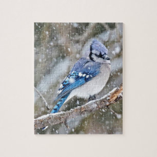 Blaue Jay im Schneesturm Puzzle